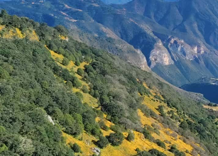 Paisaje desde la Sierra Gorda Queretana