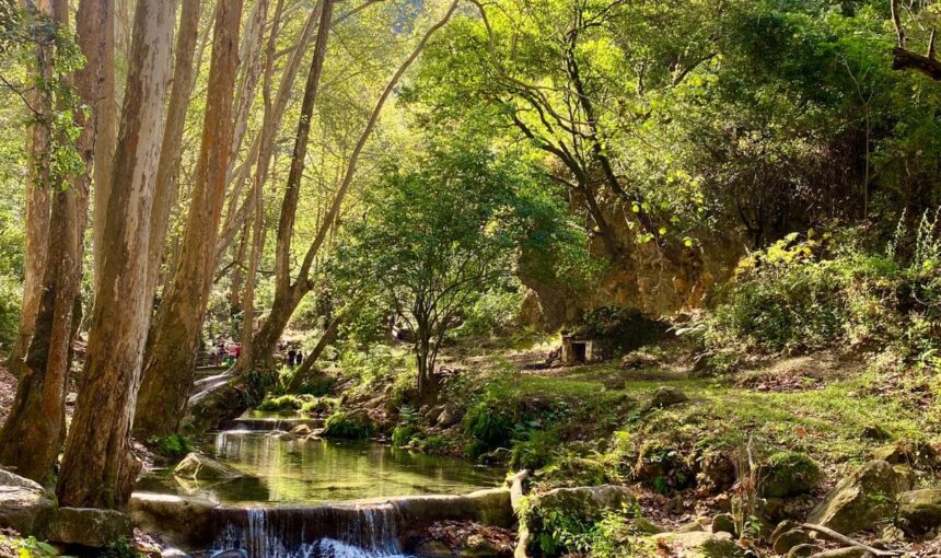 Impresionante paisaje de lo más profundo de la Sierra Gorda Queretana