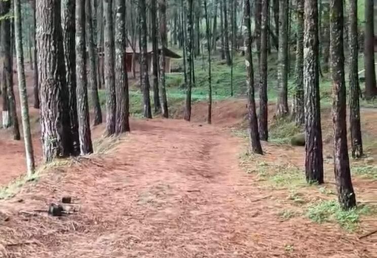 Paisaje de Los Azufres