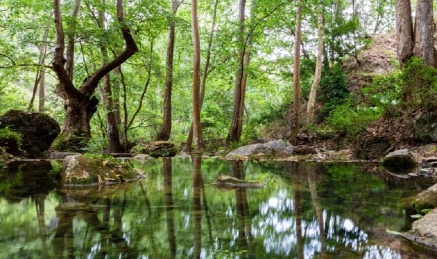 Paisajes de la Sierra Gorda
